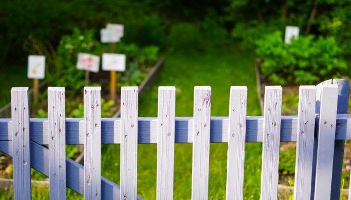 Cat Fencing For Gardens – Keeping Cats Out