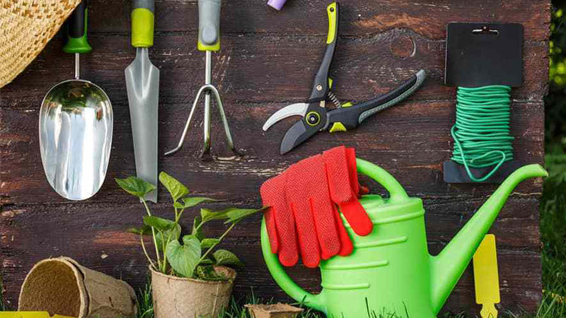 Tips for Buying Home & Garden Accessories Online