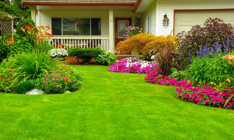 10 Essential Landscaping Supplies for Use in Every Project