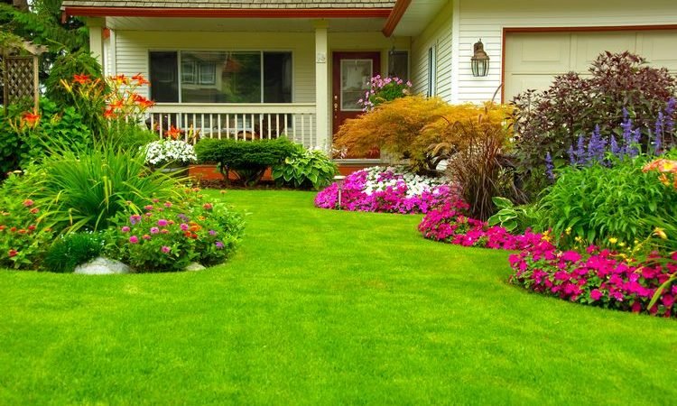 10 Essential Landscaping Supplies for Use in Every Project