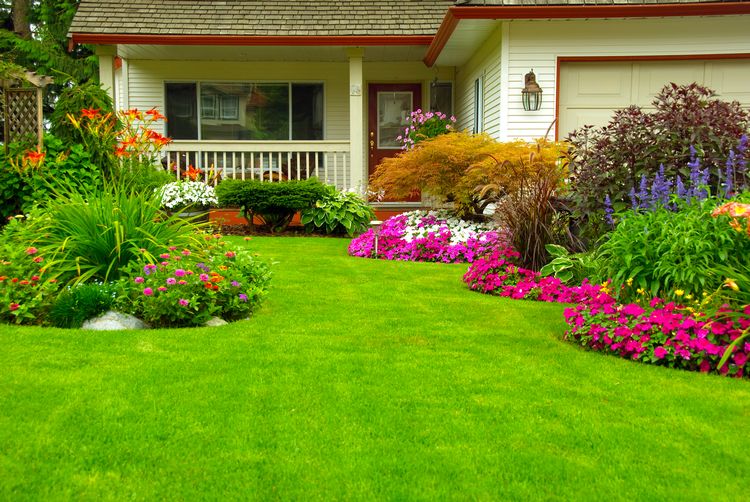 10 Essential Landscaping Supplies for Use in Every Project