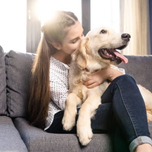 What to Look for Pet-Friendly Apartments for Rent in Minneapolis?