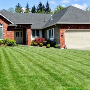 The Benefits of Overseeding Your Lawn for a Thicker, Greener Lawn